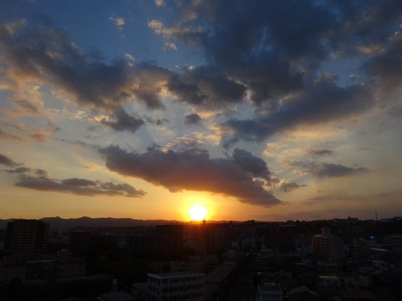 03dsc06828