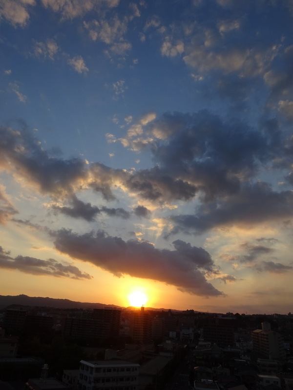 07dsc06832