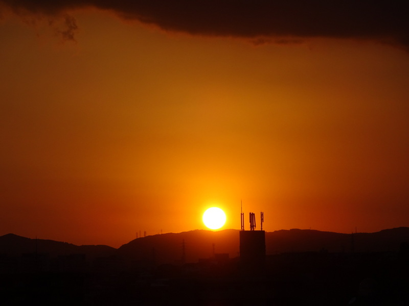 12dsc06837