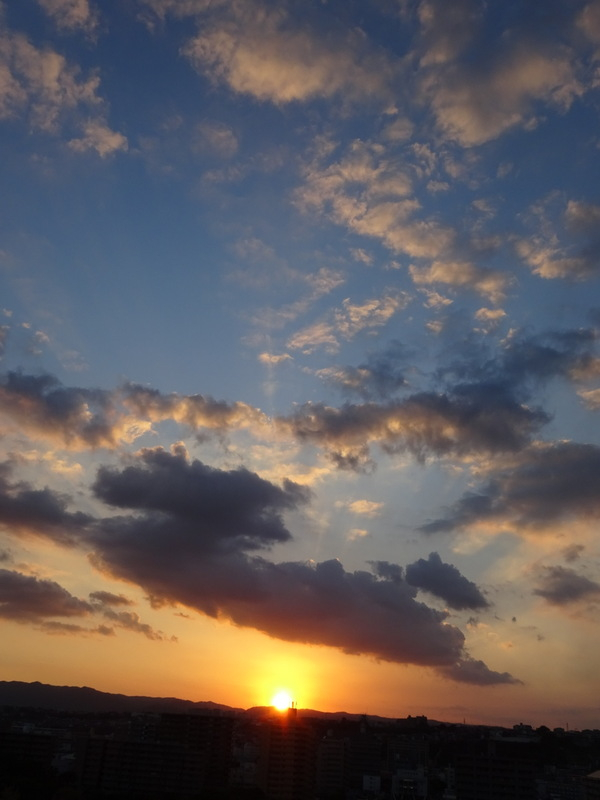 17dsc06842