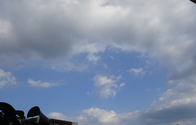 1dsc06819001