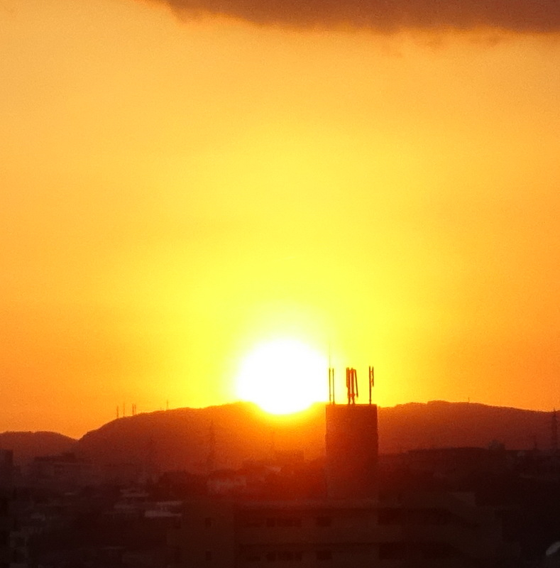 1dsc06841