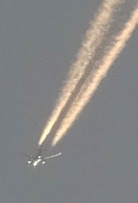 1dsc06853