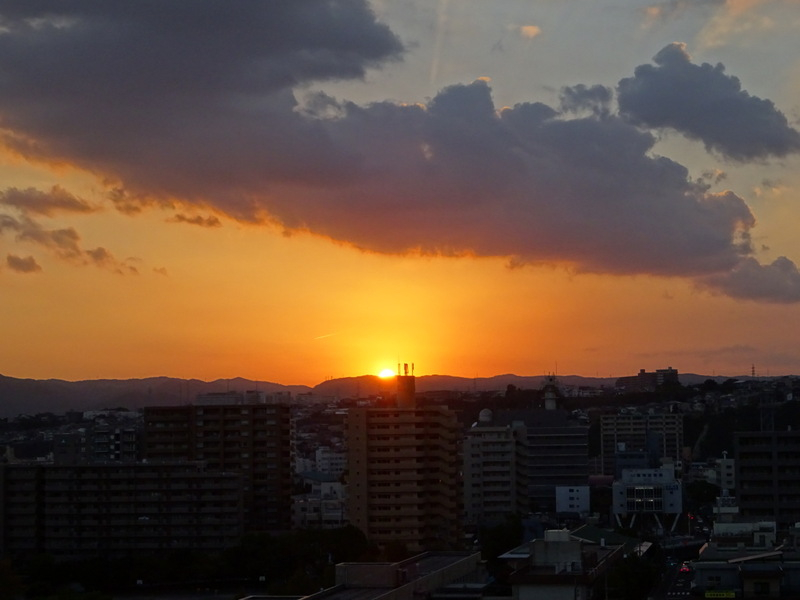 21dsc06846