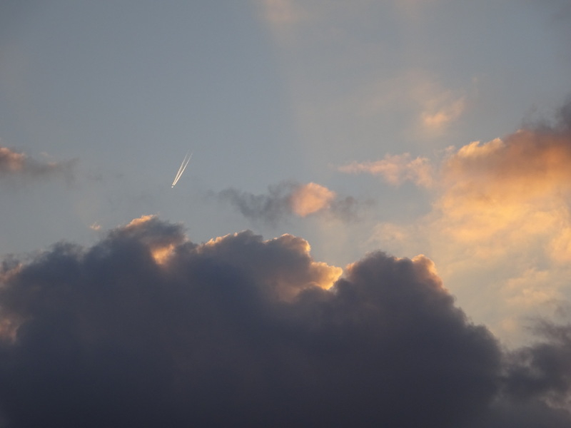 29dsc06854