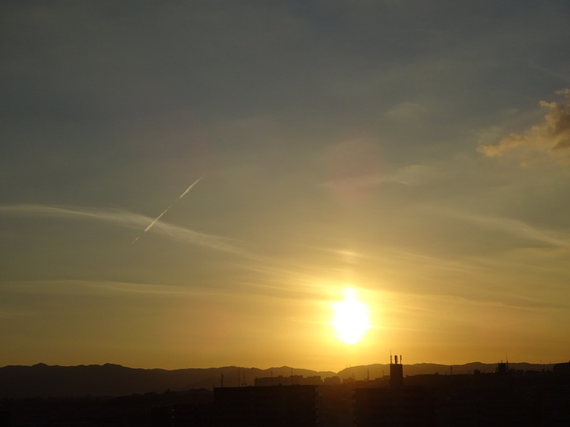047dsc06951