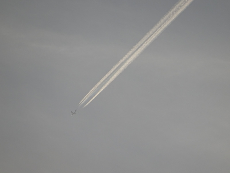 054dsc06958