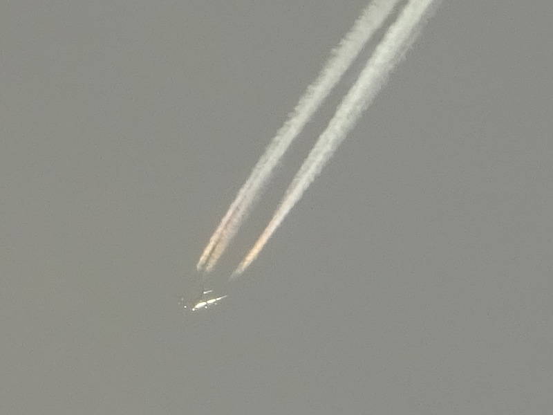 060dsc06964