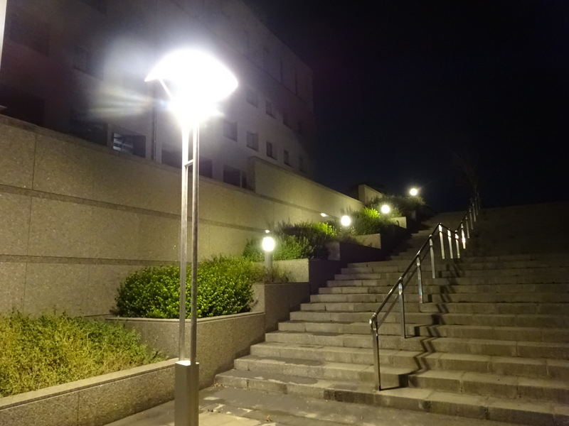 1dsc06875