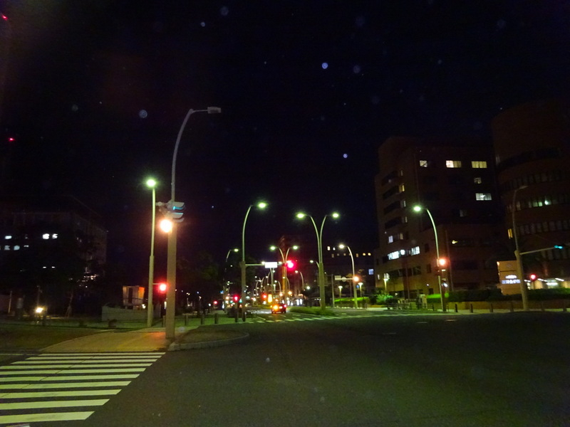 1dsc06901