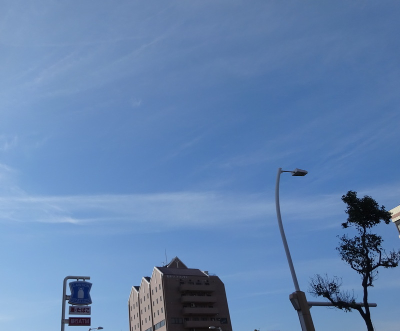 1dsc06905001