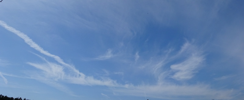 1dsc06906001