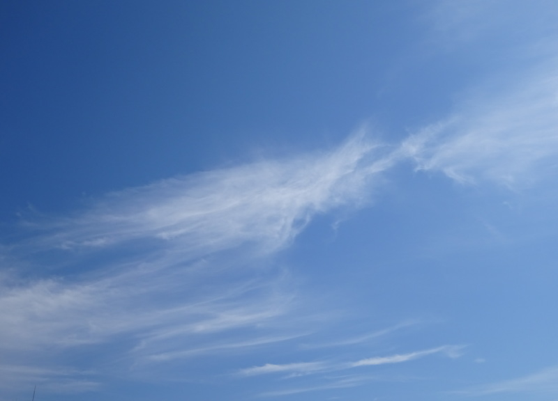 1dsc06907001