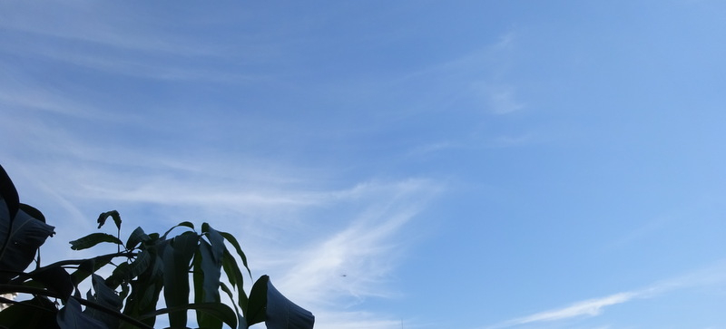 1dsc06914001