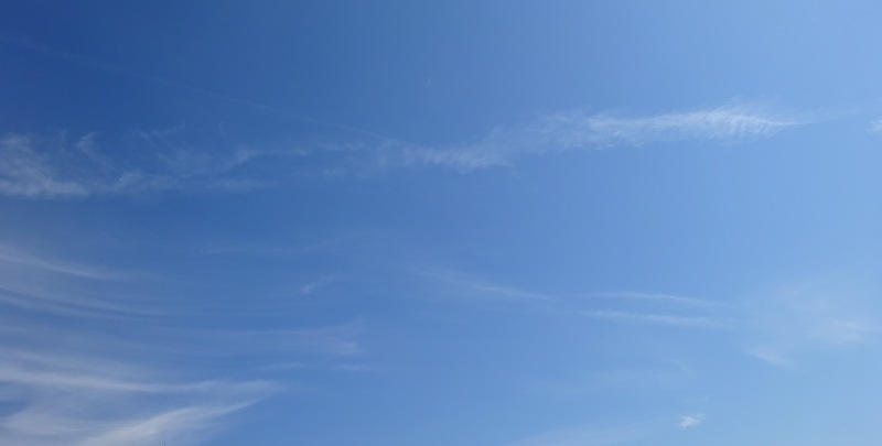 1dsc06917001