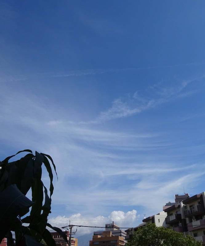 1dsc06918001