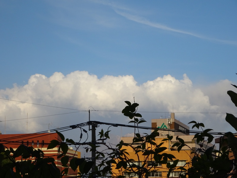 1dsc06925