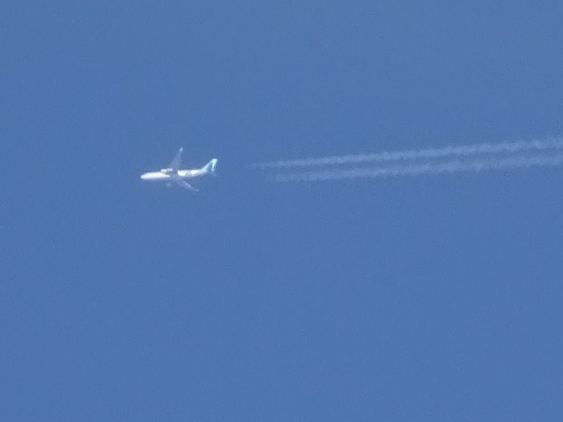 1dsc06929