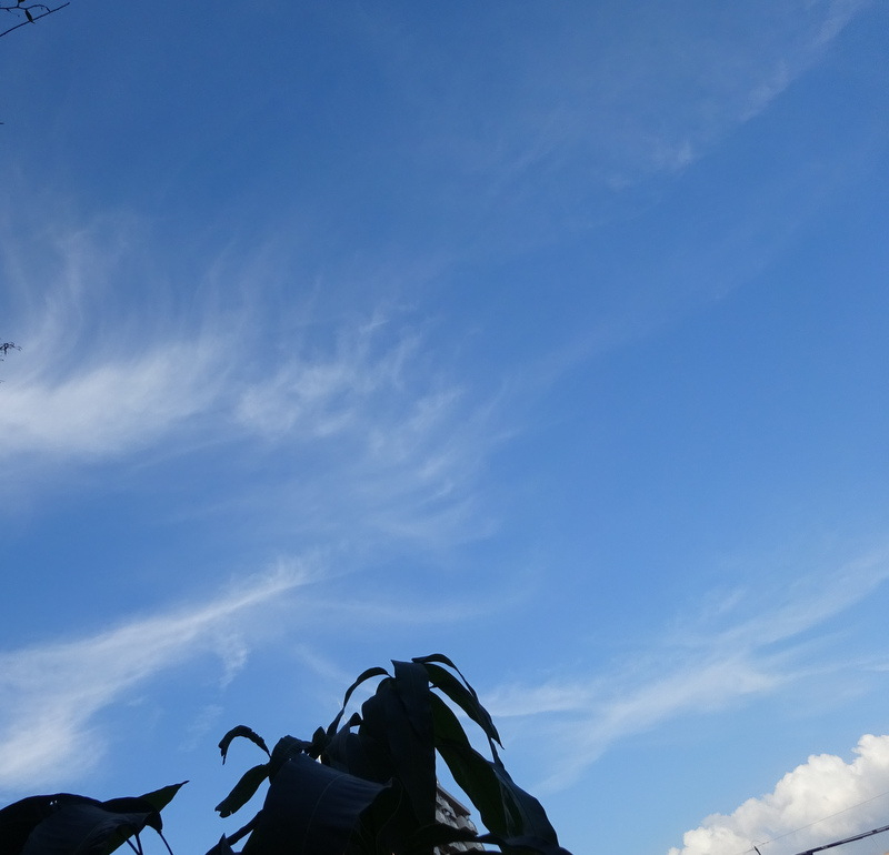 1dsc06932001