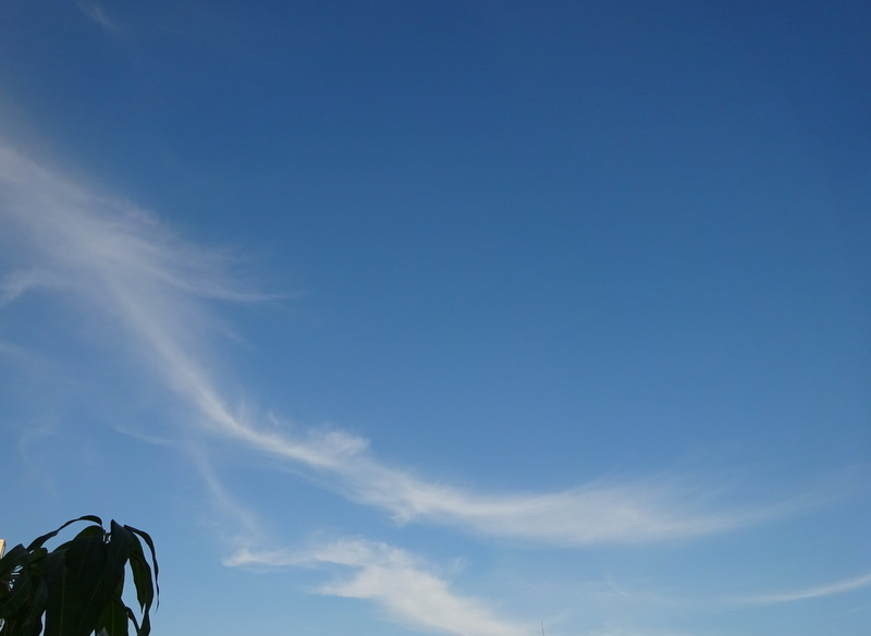 1dsc06936