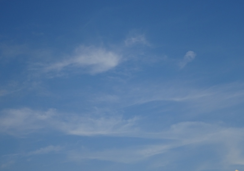 1dsc06940