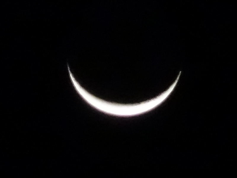 004dsc07043