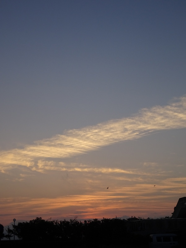 018dsc07063