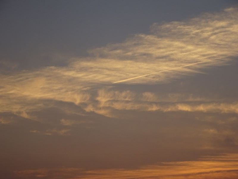 019dsc07064