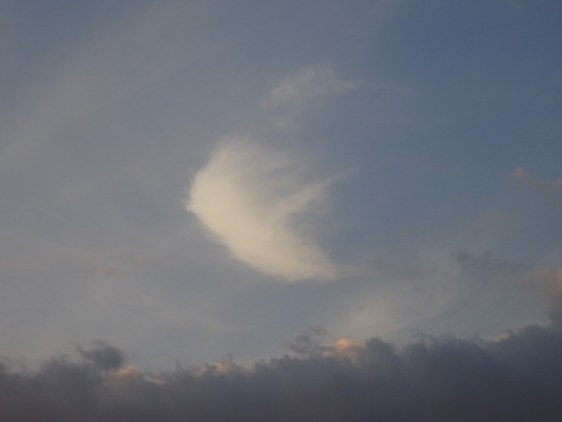 069dsc06973