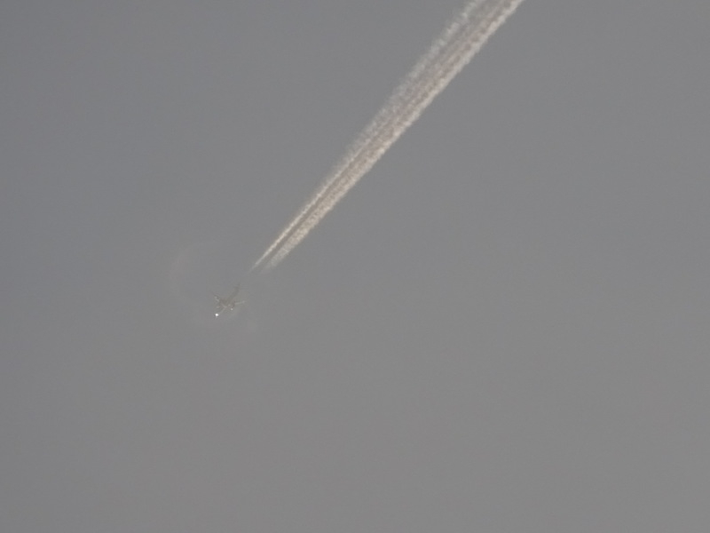 072dsc06976