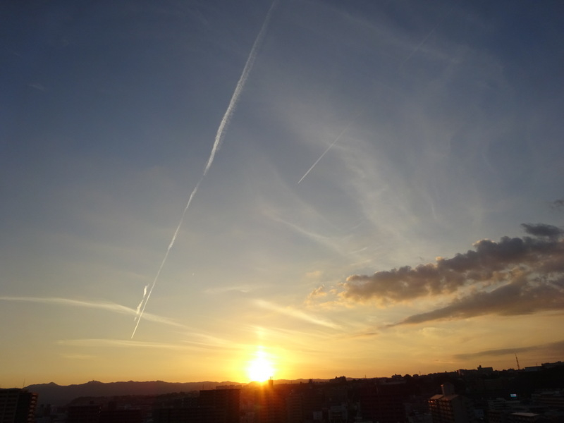073dsc06977