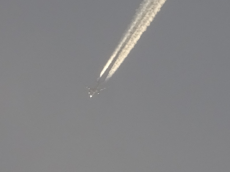 080dsc06984