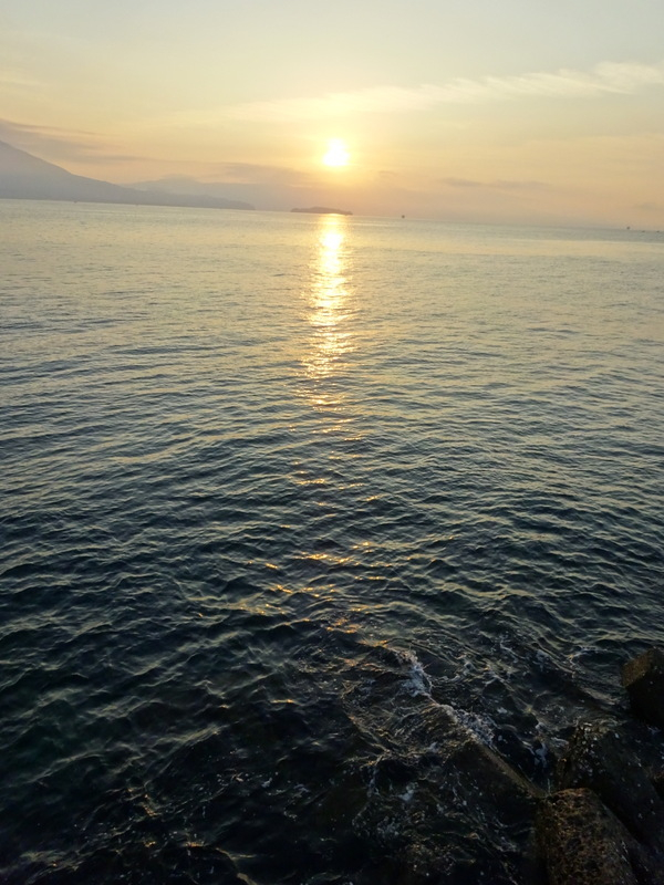 080dsc07133