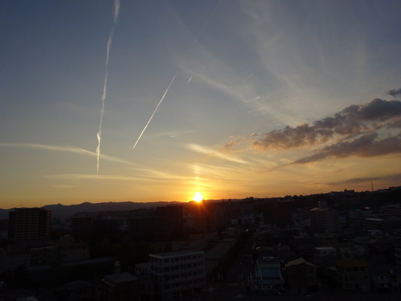 082dsc06986