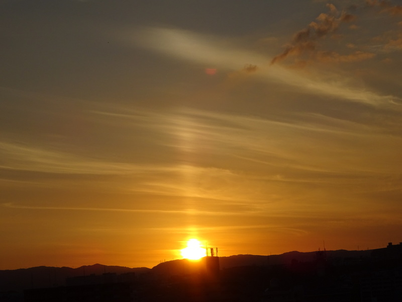 084dsc06988
