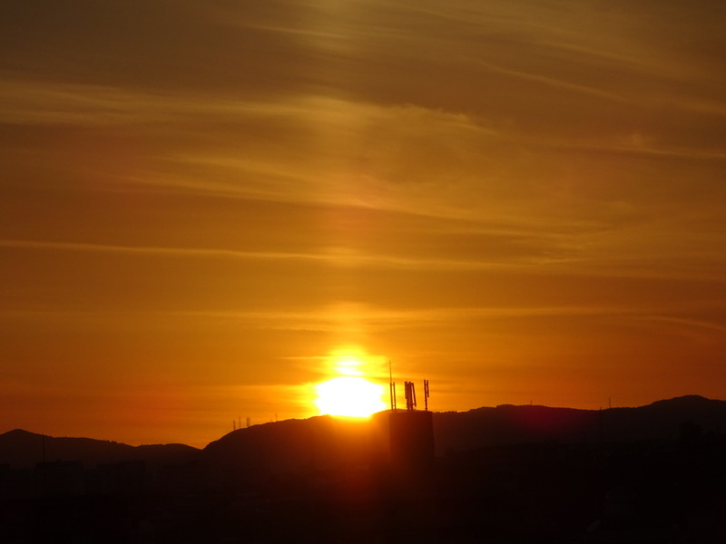 086dsc06990