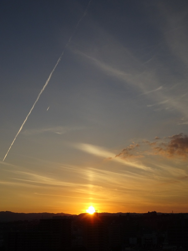 087dsc06991