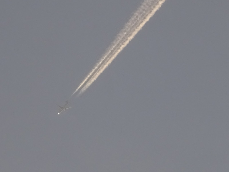 089dsc06993
