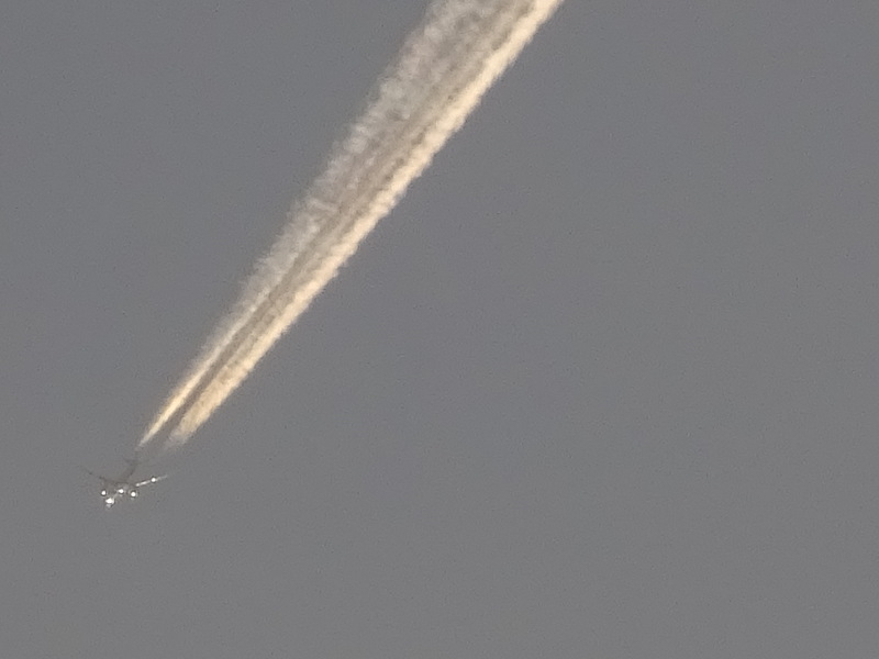 093dsc06997