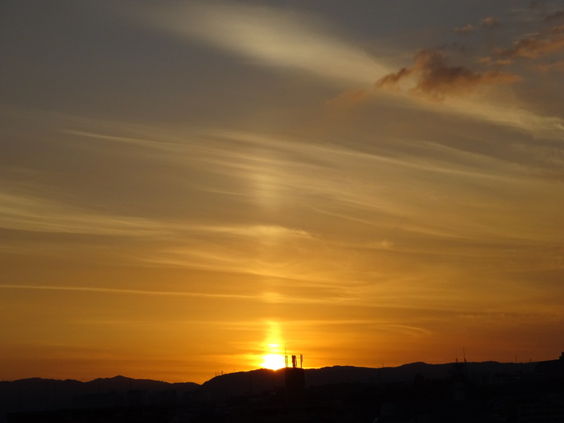 094dsc06998