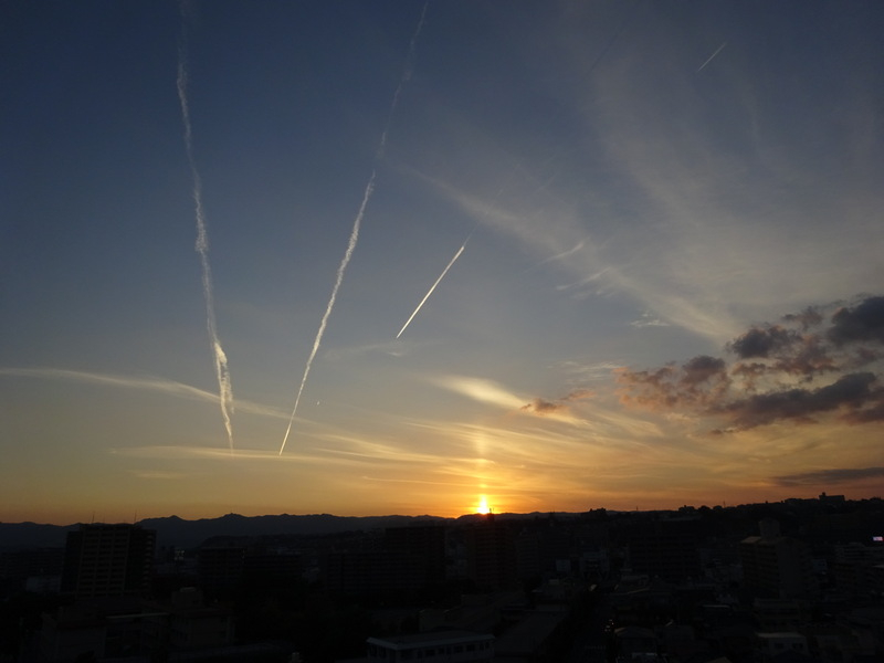 098dsc07002