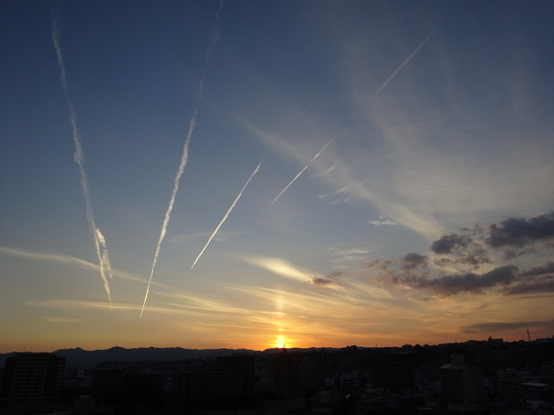 103dsc07007