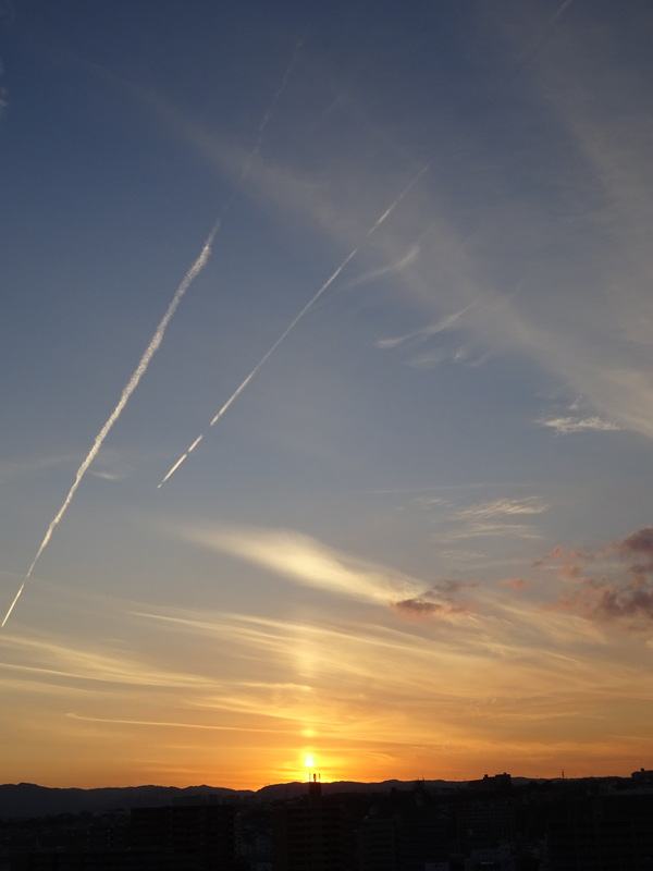 108dsc07012