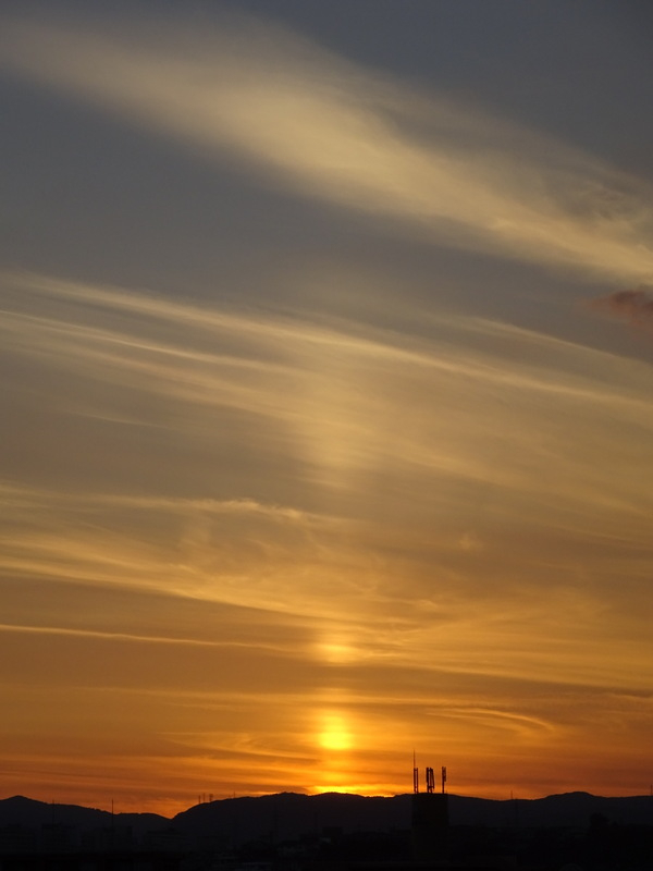 116dsc07020