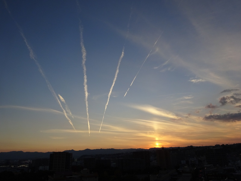117dsc07021