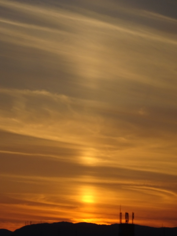 118dsc07022