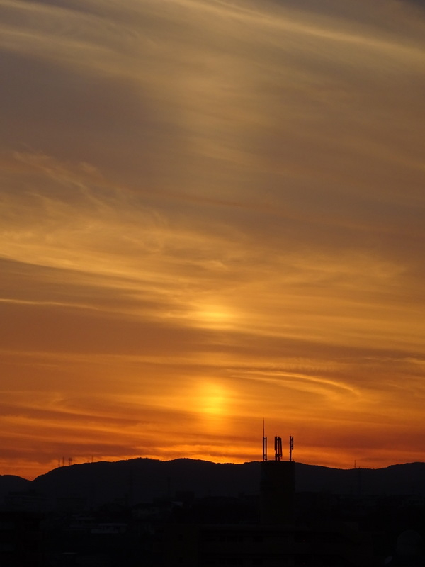 126dsc07030