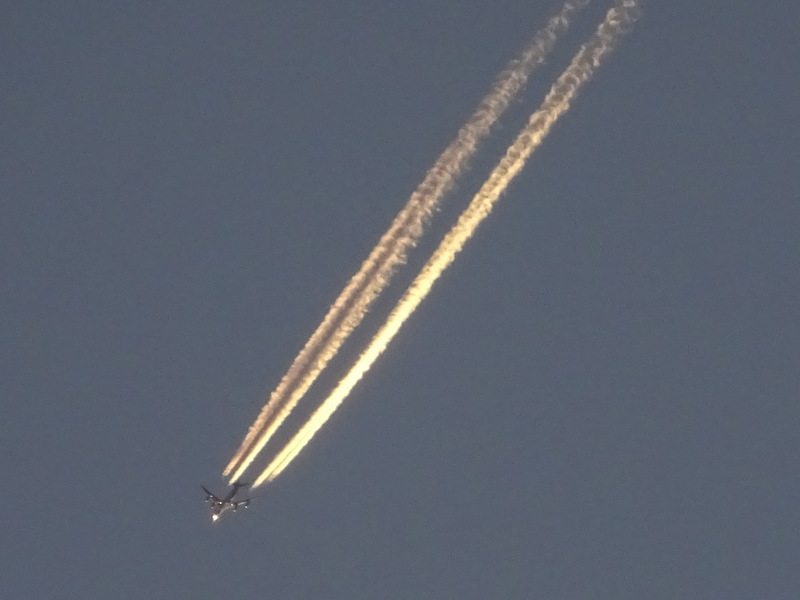 132dsc07036_2