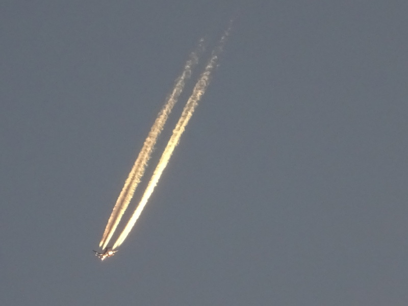 133dsc07037_2