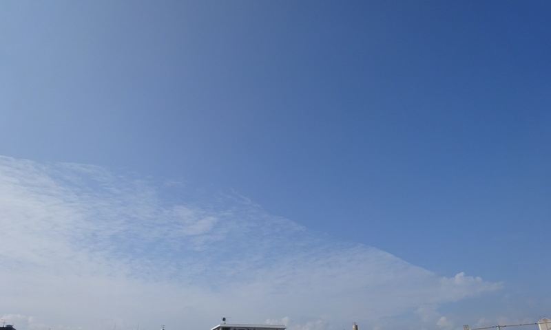 1dsc07173